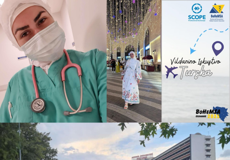 Exchange Experiences🌎